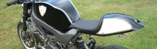 Meermeier 1